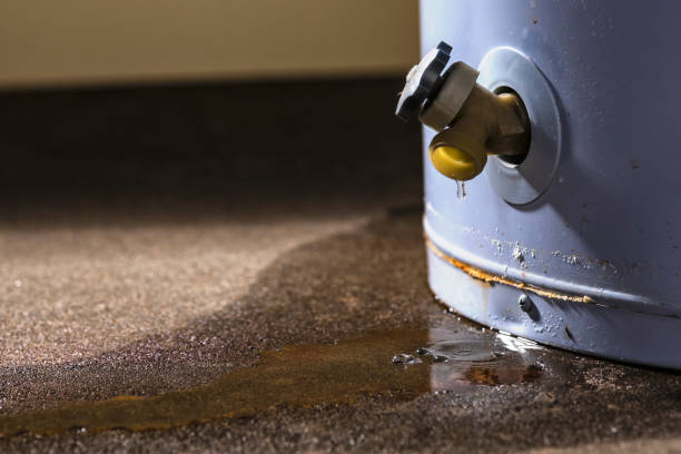 Best Fire Damage Restoration  in Longwood, FL