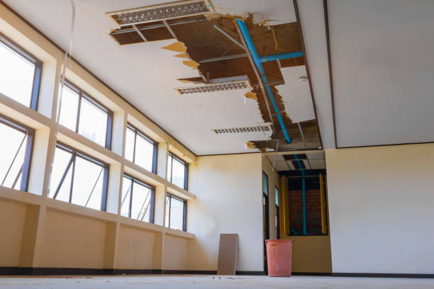 Best Carpet water damage restoration  in Longwood, FL