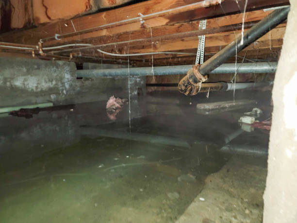  Longwood, FL Water damage restoration Pros