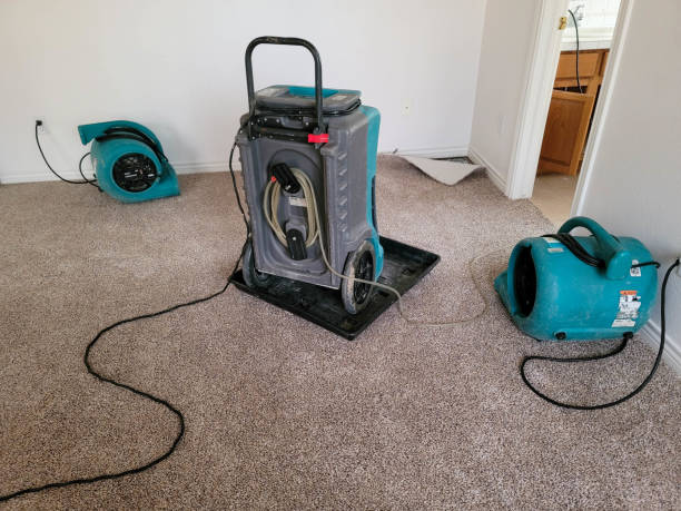 Best Ceiling water damage repair  in Longwood, FL