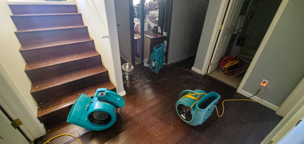 Best Water damage mitigation services  in Longwood, FL