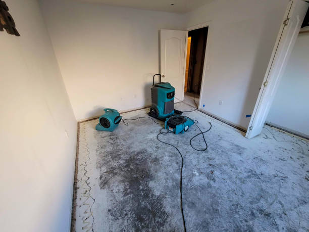 Best Sewage cleanup and water damage restoration  in Longwood, FL