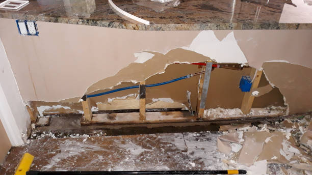 Best Mold removal after water damage  in Longwood, FL