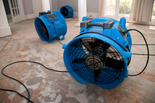 Best Residential water damage restoration  in Longwood, FL