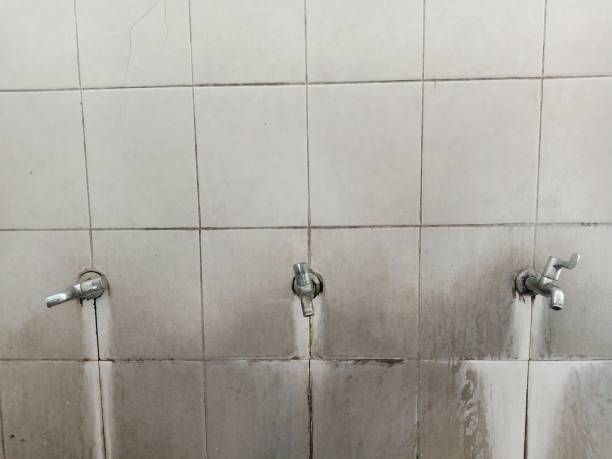 Best Local water damage restoration  in Longwood, FL