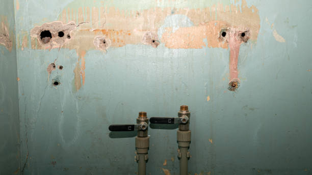 Best Commercial water damage restoration  in Longwood, FL