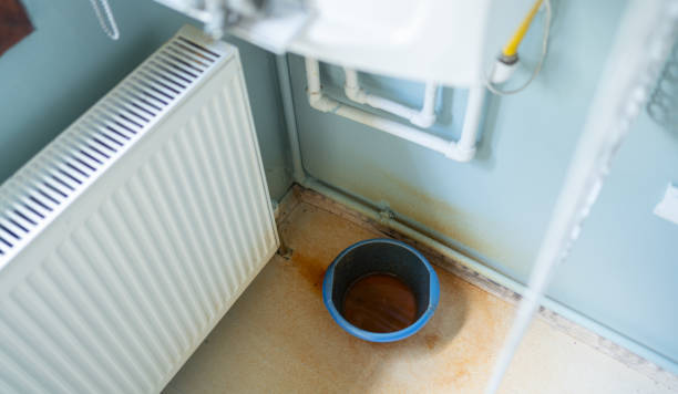 Best Water damage restoration near me  in Longwood, FL