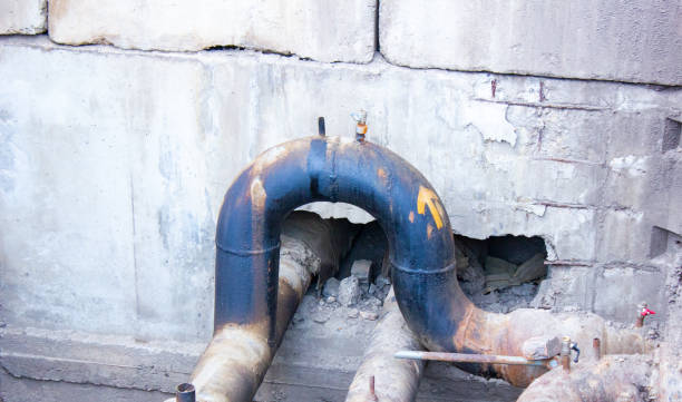 Best Water damage mitigation services  in Longwood, FL